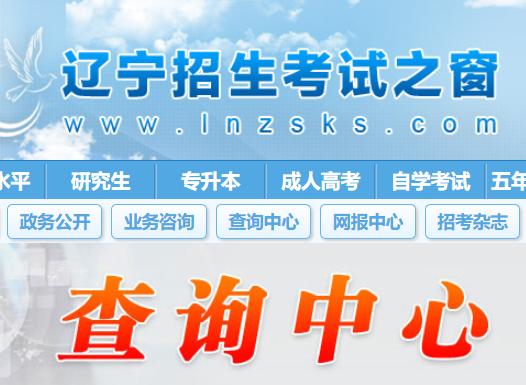 www.lnzsks.com图标