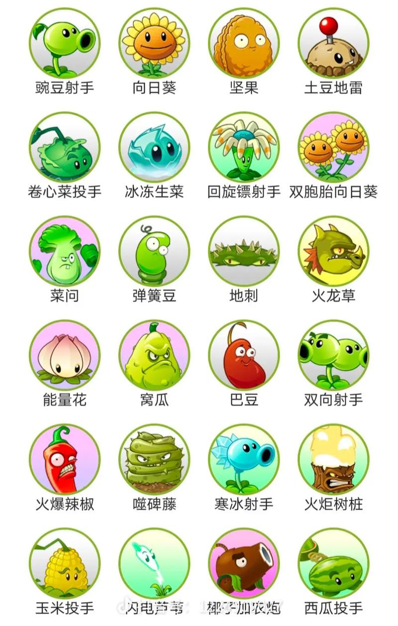 植物大战僵尸玩法介绍图标
