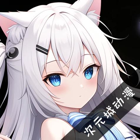 次元城官方正版入口