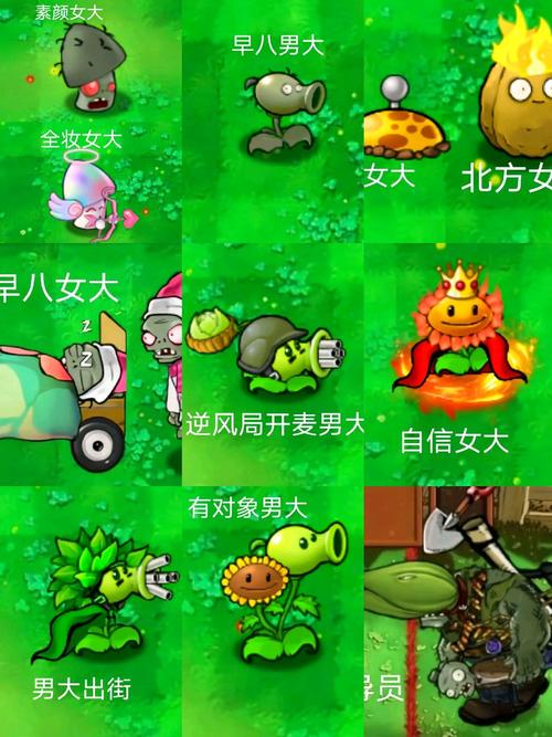pvz杂交版主播同款版本更新内容