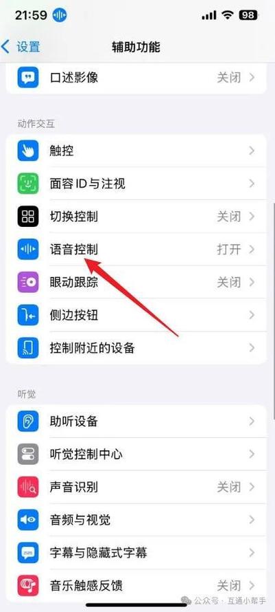 苹果手机老是出现语音控制怎么回事