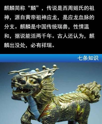 麒麟七偷一条稀有鱼