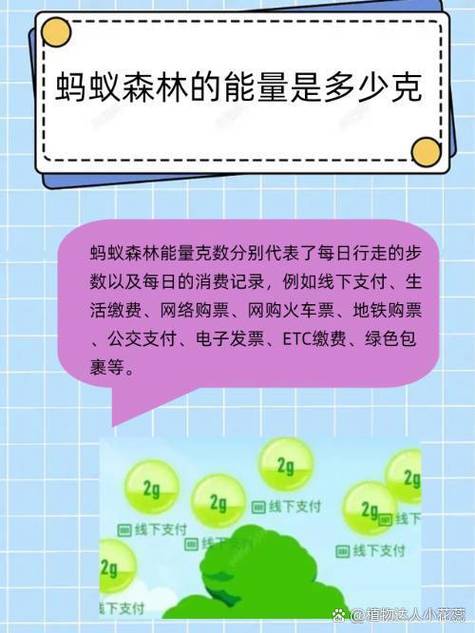 蚂蚁森林10克怎么来的