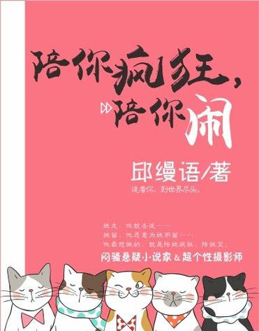 疯狂小说图标