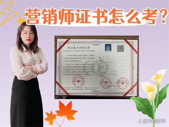 什么是高级专员