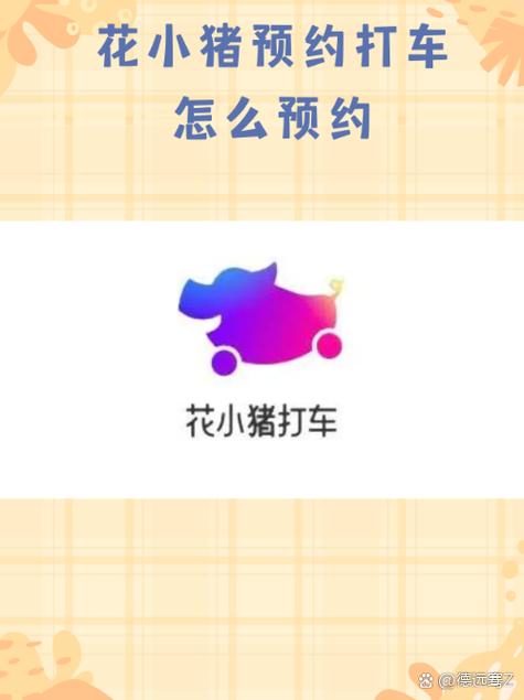 花小猪使用教程