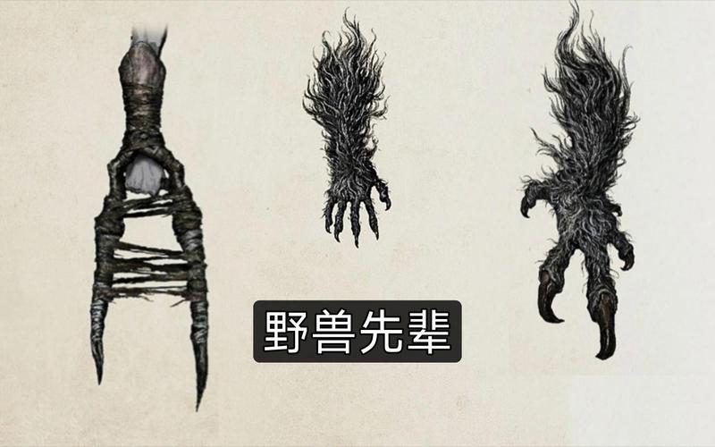 血源诅咒兽爪铭文
