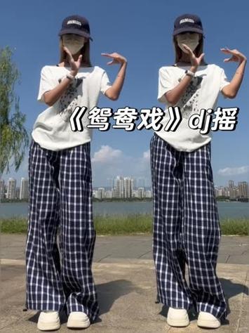 DJ电摇999首