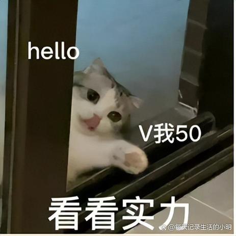 v我50这个梗咋来的
