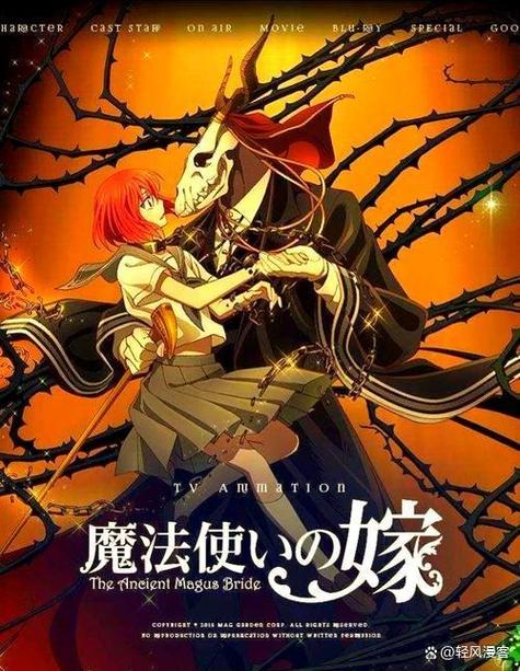 日本魔法使的新娘动漫全集
