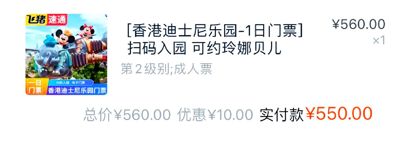 迪士尼买票后里面项目还要收费吗图标