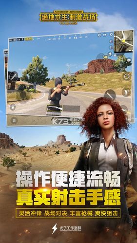 刺激战场亚服图标