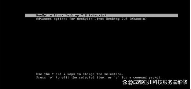 中标麒麟root权限获取