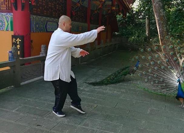太极雷雷图标