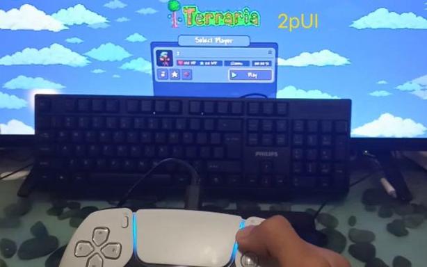泰拉瑞亚可以同屏吗缩略图