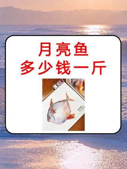 鱼一斤赚多少截图