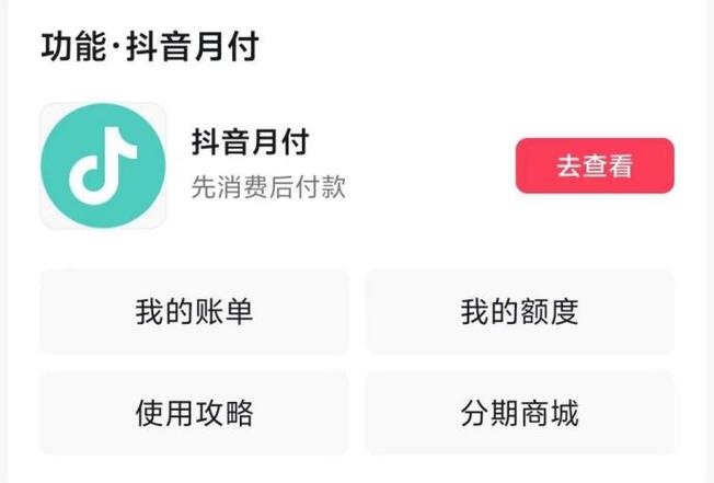抖音月付能买外卖吗