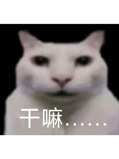 前后可以一起干嘛