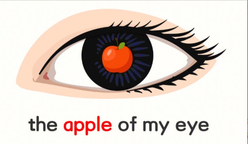 my eye为什么不加s缩略图