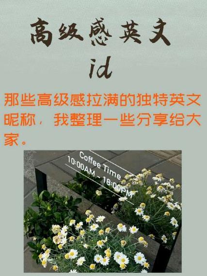 coisini英文意思
