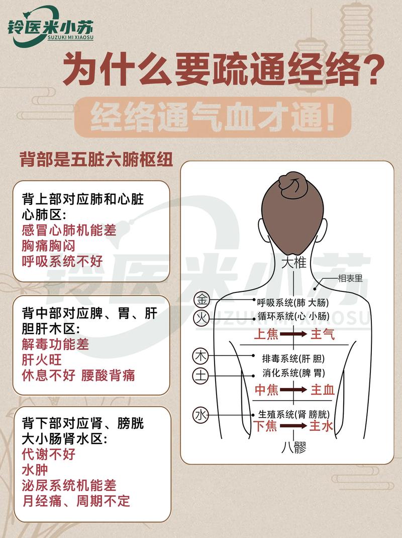 3396815能把经络打通吗