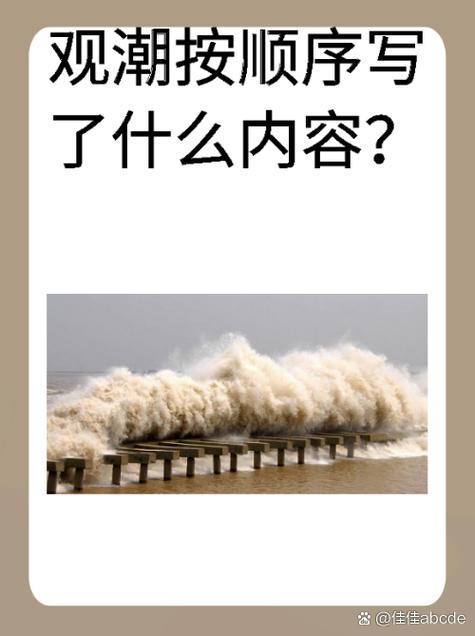 浪球是什么意思