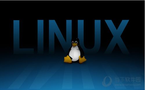 linux版软件