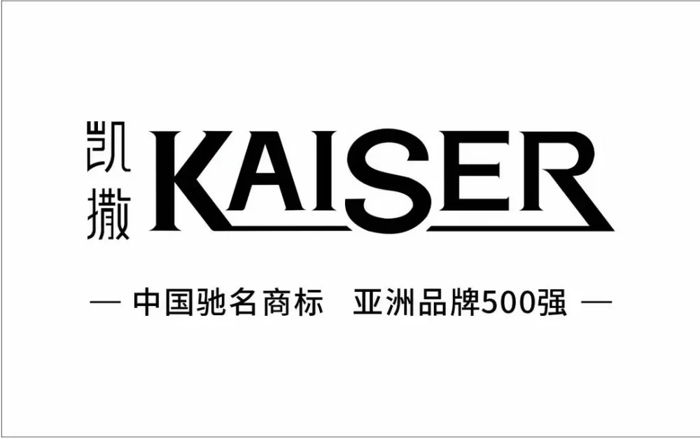 凯撒公益直装2025下载缩略图