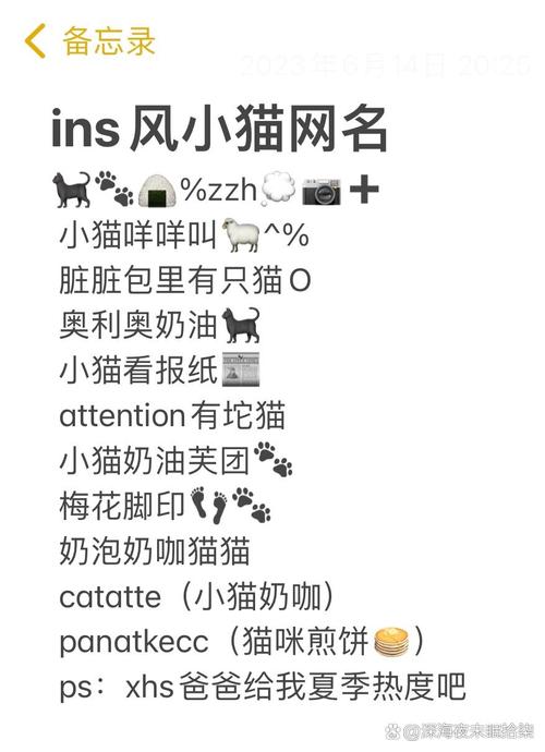 猫咪成人最新地域网名怎么取