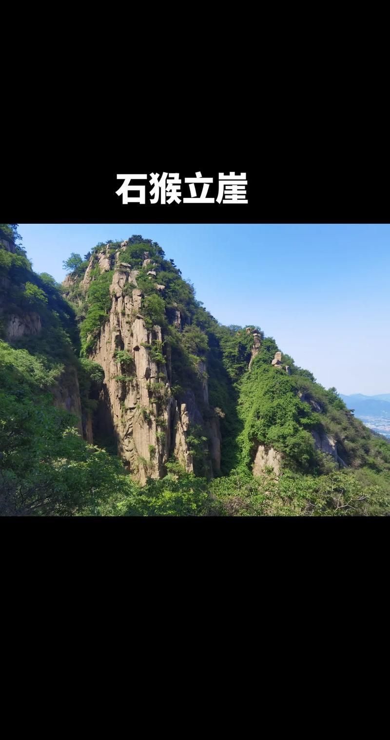 两峰夹小溪地湿又无泥的用法游戏截图