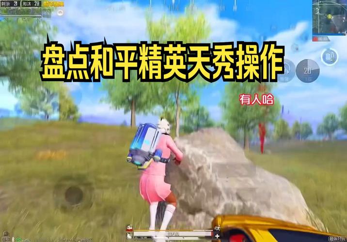 xl6666cn和平精英超广角
