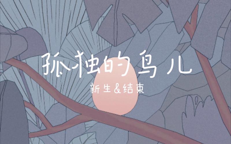 孤独的鸟儿官方正版最新版本