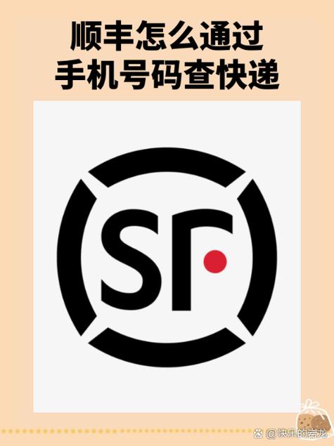 DPK开头的运单号在哪看