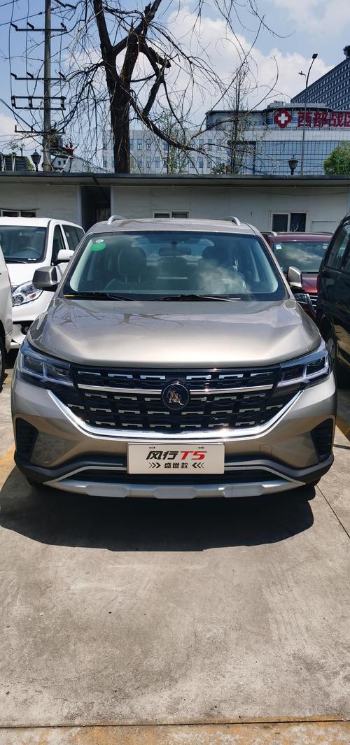 东风风行t5怎么app