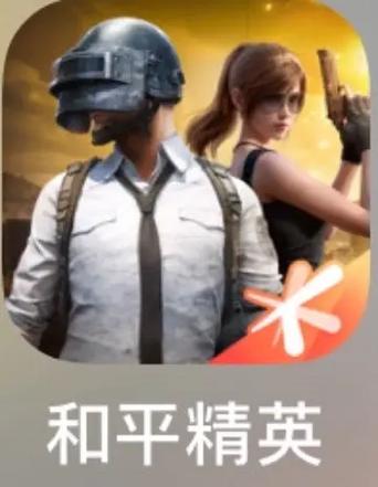 刺激战场亚服版截图