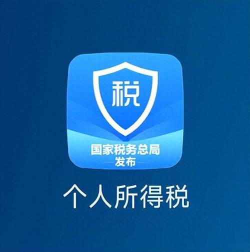 个人所得税计算器2024游戏截图