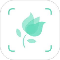即有花v4.0.6