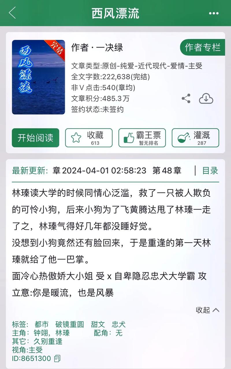 西风小说完整版