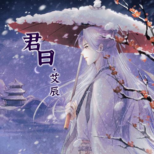 艾辰画质大师图标