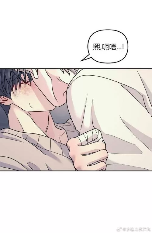 花店三女漫画免费阅读的最新章节