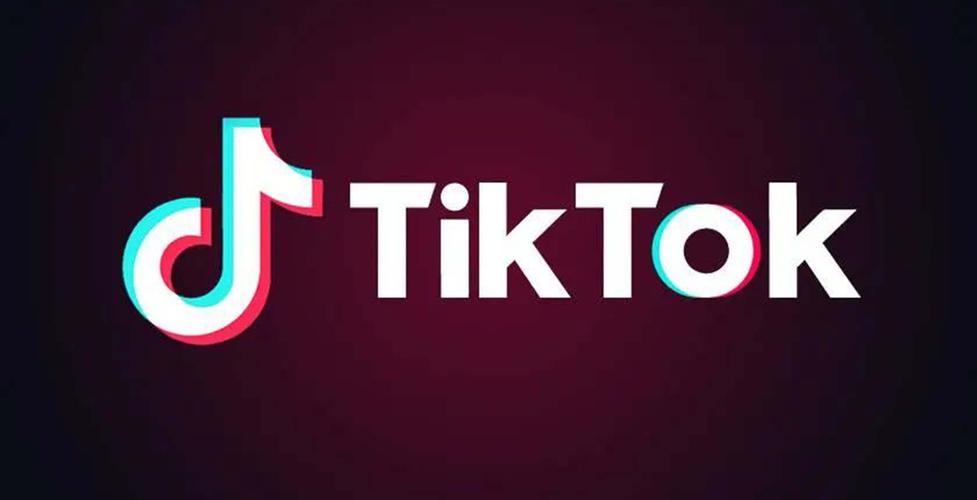 tiktok成人版免费版国际版图标