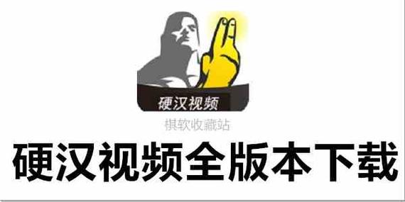 硬汉视频免费版