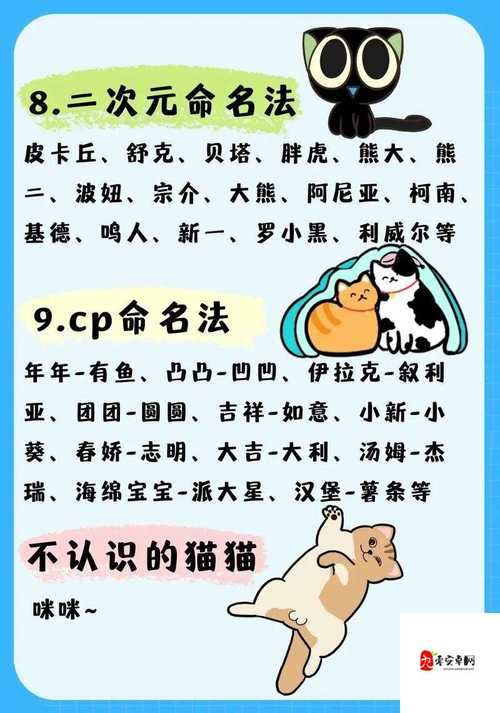 猫咪www最新地域网名怎么取海外图标