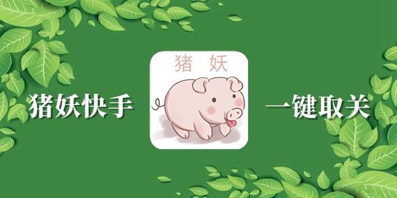 猪妖快手一键清粉安卓版