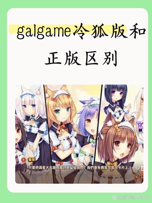 galgame冷狐直装无广告正版