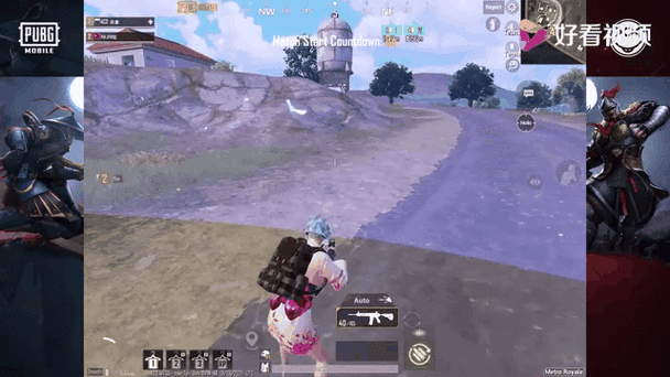 PUBG龙猫直装专业版