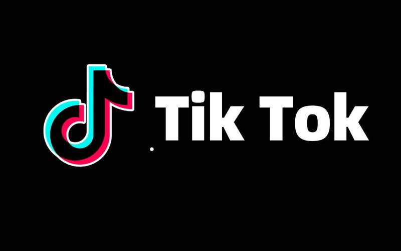 tiktok免费版人版网站电子版