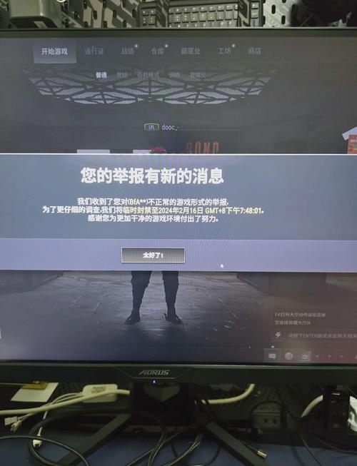 pubg体验服直装免卡密