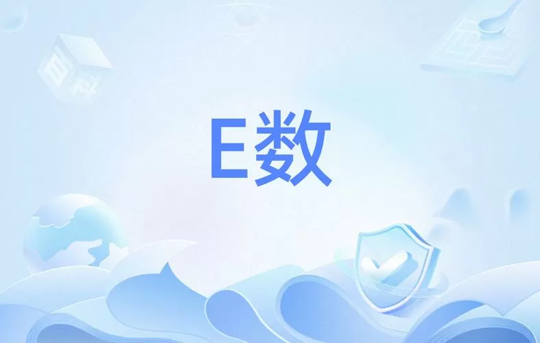 E表示什么数字