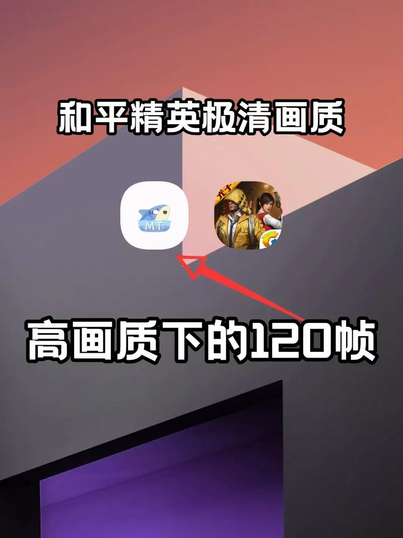 120帧和平精英画质助手缩略图